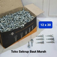 LncrMrt - 12X30 Drilling Bolts 12X30 Roofing Bolts Screws Sds Drilling/ 12 X 30 Drilling Screws