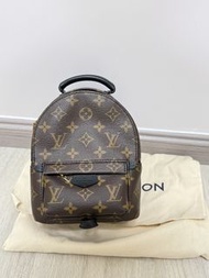 Louis Vuitton Palm Springs Mini Backpack  LV 背包
