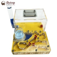 FLYTOP T Design DIY Acryl Flat 3D Ant Farm Ant Nest with Feeding Area Ant House Insect Villa Pet Ant