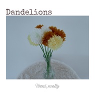 Dandelion Flowers (Dandelion)