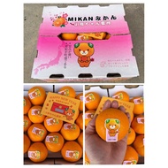 新年 CNY 2023 [中国SAKURA沃柑MIKAN礼盒 L Size] #柑 #芦柑 #砂糖桔 #沃柑 #椪柑 #潮州柑 #LIMAU #MANDARIN # ORANGE #OREN #水果 