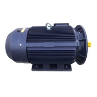 Ye2-1600l-4 Induction Ac Induction Gear Motor 1/4 Hp Induction Motor
