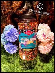 蛋叔叔-Rep-Cal 綠 鬣蜥 幼體 7oz 飼料 水龍 雙冠 鬆獅 草巨 王者 蟋蟀 大麥蟲 維生素 D3 礦物質 
