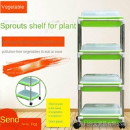 [Wanguan] 304 Stainless Steel Organic Harmless Sprout Seed Planting Rack Wheat Seedling Vegetable Hy