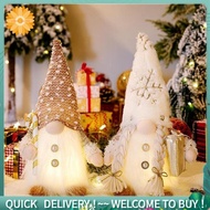 Set of 2 Christmas Gnomes, Lighted Christmas Gnomes Figurines  Plush Xmas Decorations - White Winter
