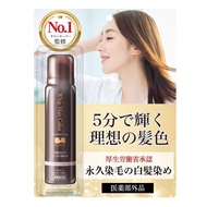 Sewanity Whip Hair Color Gray Hair Dye Foam Color for Men and Women (Natural Black) 80g×2  
Sewanity