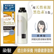 染髮推薦 Rerise瑞絲髮色復黑菁華乳柔順型自然黑補充瓶190g