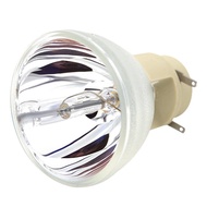 Compatible W1070 W1070+ W1080 W1080ST HT1085ST HT1075 W1300 Projector Lamp Bulb 240/0.8 E20.9N for B