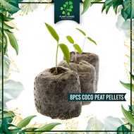 Eco Coco Jiffy Pellets / Coco Peat Pellets, 35mm Coco Peat Germinating Media Biodegradable Pocket