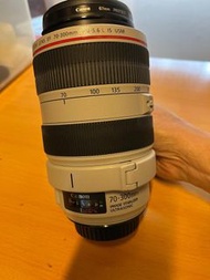 Canon EF 70-300mm f/4-5.6L IS USM with ET-73B