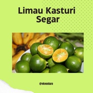 Limau Kasturi (Calamansi) Fresh From Farm- 1 kg RM 6 ONLY