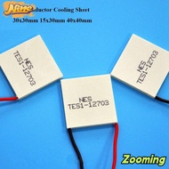 ZOOMING Semiconductor Cooling Sheet, 30x30mm 15x30mm Refrigeration Plate, High Quality 5 Styles TES1