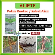 ALIETTE 250g- PAKAR KANKER AKAR REPUT