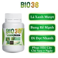 [CHÍNH HÃNG] BIO36 Siêu Kích Rễ Kích Đọt Phục hồi cây trồng hiệu quả | Phân phối chính thức bởi ENLI