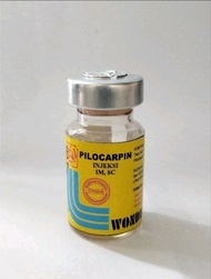 Pilocarpin 5 ml Injeksi Obat kembung Hewan sapi kambing domba Kelinci hewan Injeksi