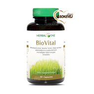 Herbal one biovital เฮอร์บัล วัน สารสกัดจากใบข้าวสาลี 60แคปซูล