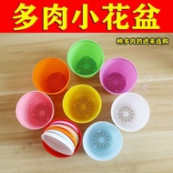 Succulent plastic flower pot cultivation children's interest in planting plants, soil cult多肉塑料花盆培养儿童