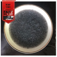 Basil Seeds | BASIL SEED | Basil | Basil Seeds