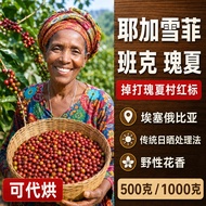 Yegacheffe Geisha Red Label Coffee Beans