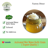 Active Water Kefir Grains (Export Quality + Workshop + Guidance by Professional)