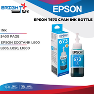 Epson T673 Ink Bottle