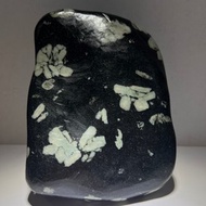 天然洛陽牡丹石 雅石 奇石 擺件 菊花石 梅花石 雪花石 荷花石