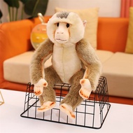 Simulation Baboon Doll Cute Animal Plush Toy Children Soothing Sleeping Doll Ragdoll Birthday Gift f