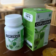 kapsul daun ciplukan obat herbal diabetes