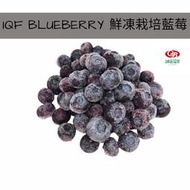 【誠麗莓果】急速冷凍栽培藍莓 大藍莓 加拿大產地