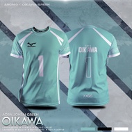(Customizable) EvoNova Haikyuu Aoba Johsai - Oikawa ' Anime Shirt Custom Name and Number Jersey Oika