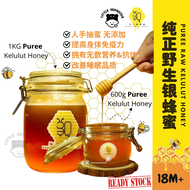 Madu Kelulut Honey Stingless Bee Honey 100% Original 野生蜂蜜 银蜂蜜 1KG/600g/160g