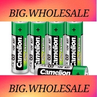 H2010 27A/23A battery car key battery