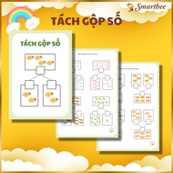 [4-6 Years Old] Separating Numbers Within 10 For Children 4-6 Years Old