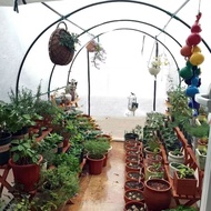 3mx2mx2m Household greenhouse warming shed plants rain sun light room small shed warm house sunshine