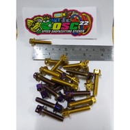 Probolt GOLD AND BLUE FLOWER DRAT BOLT 10 LENGTH 2.5CM 6X25 ORI HENGs