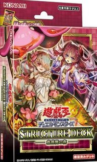 遊戲王 STRUCTURE DECK 蟲惑魔之森 【原盒】

【SD45】