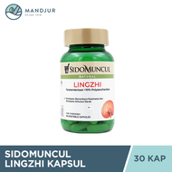 Lingzhi Kapsul Sidomuncul