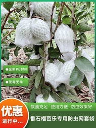 Net Bag Bag Guava Guava Insect-proof And Bird-proof Special Bag One-piece Fruit Net Bag Foam Net Pro