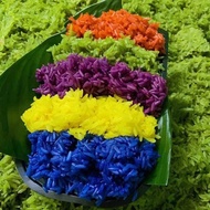 Iridescent coloring powder, 5-color combo, blue, red, purple, yellow, blue,