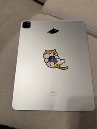 Ipad pro 12.9 Gen5 256GB