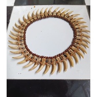 Classic Tribal Resin Fang Necklace