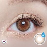 [OLOLA] Dazzling Rosie Hazel 1Day 10pcs color contact lens from KOREA