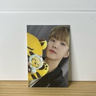 Seventeen Hoshi Official Photocard Artist Made Collection - Tamtam Plush Keyring