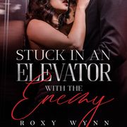 Stuck in an Elevator With the Enemy Roxy Wynn