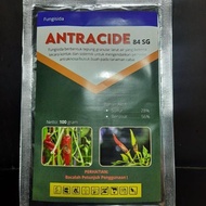 ANTRACIDE 84 SG Fungisida Detacide Antraknosa Patek 100 Gram
