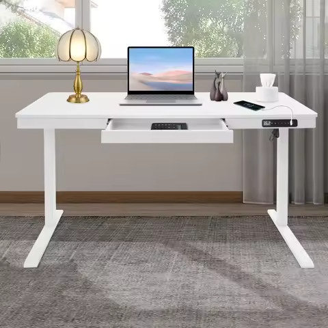 Electric Height Adjustable Standing Desk Sit Stand Up Desk with Drawer Storage and USB Ports Ergonom