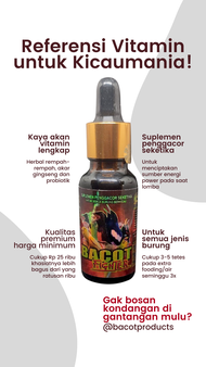 Vitamin Burung Bacot Fighter