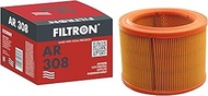 Filtron Air Filter, AR308
