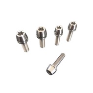 DIN912 Titanium Screw M5 M6 Torx Screw Processing Titanium Screw
