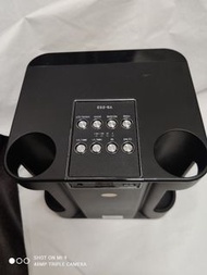 YS-203 Wireless Karaoke Speaker